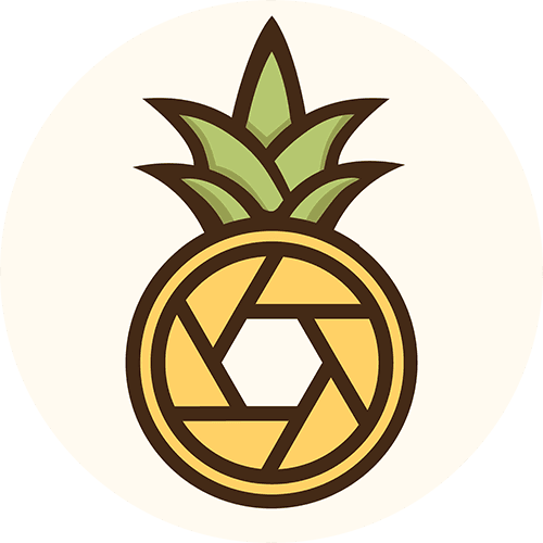 Ananas Video